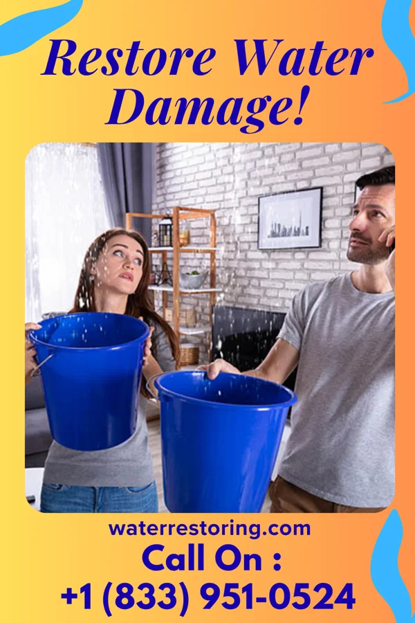 water restoration Hawk Water Removal Inc Destin